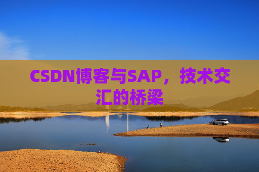 CSDN博客与SAP，技术交汇的桥梁